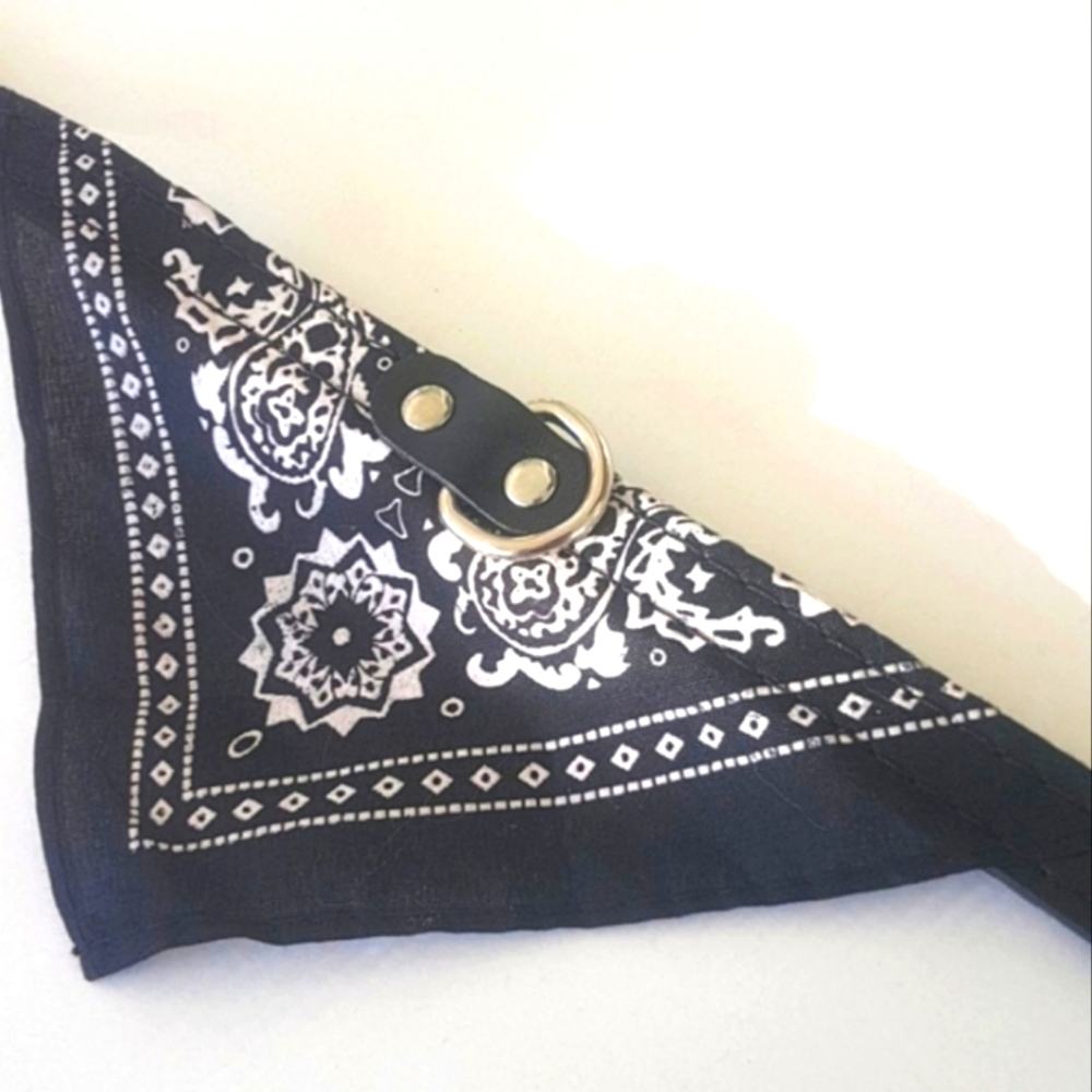 🐶 Bandana Dog Collar